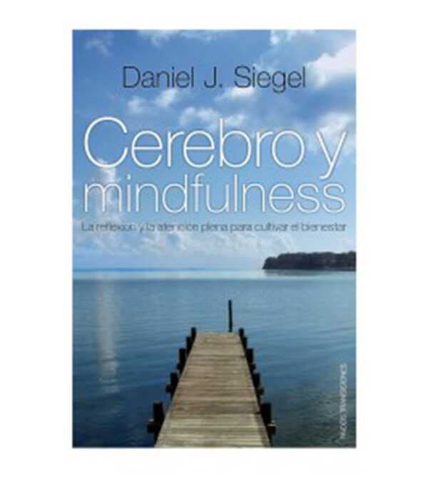 CEREBRO Y MINDFULNESS