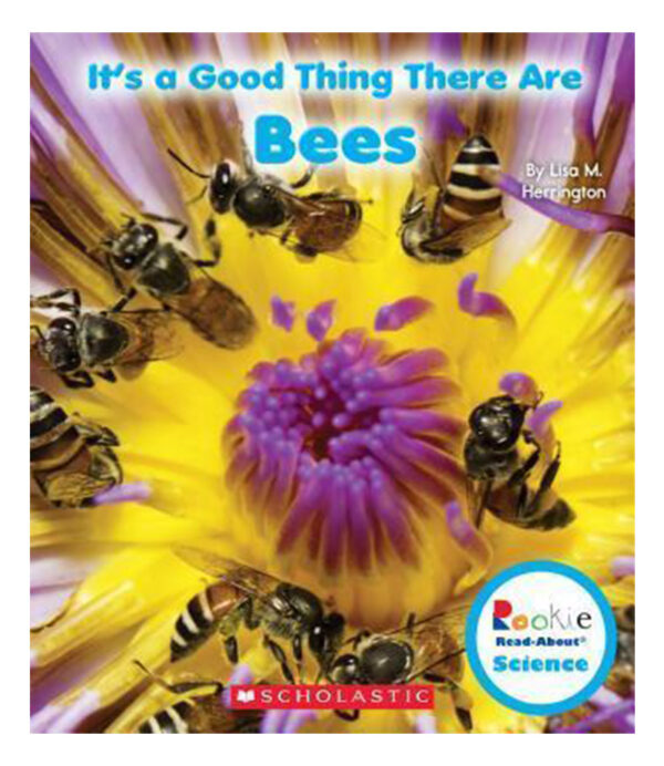 IT´S A GOOD THING THERE ARE BEES