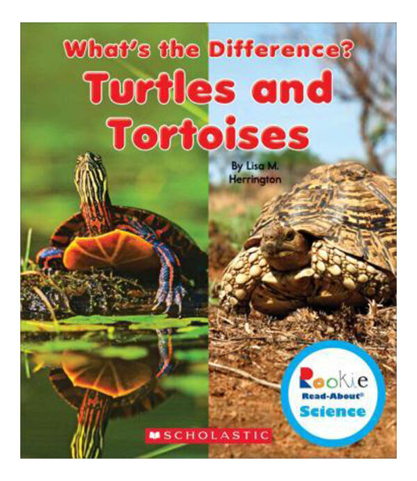 TURTLES AND TORTOISES -WHAT´S THE DIFFERENCE?-