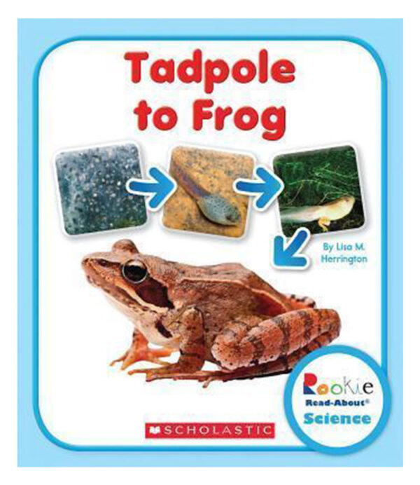 TADPOLE TO FROG