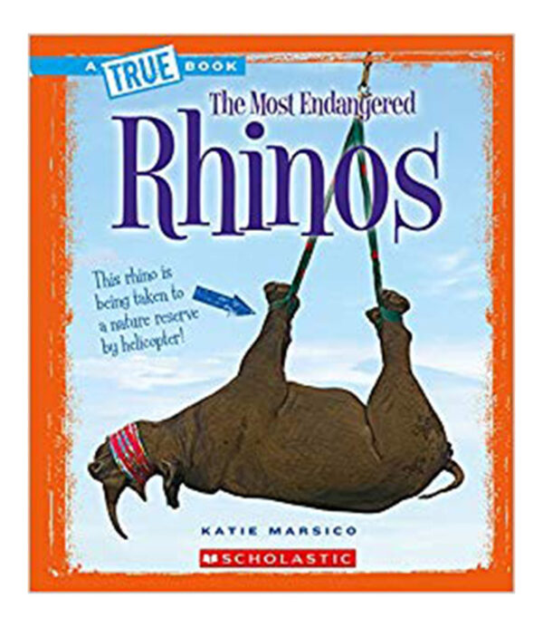 RHINOS