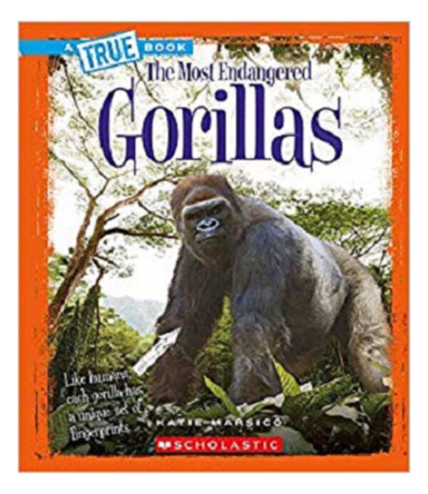 MOST ENDANGERED GORILLAS, THE