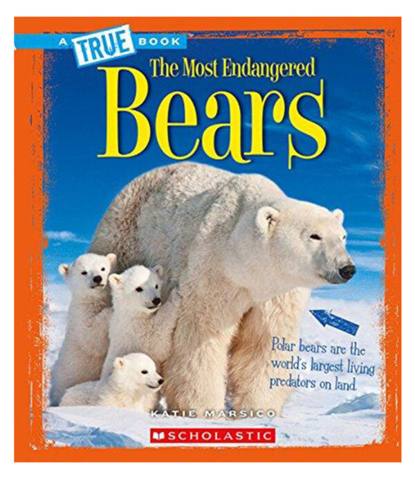 MOST ENDANGERED BEARS, THE