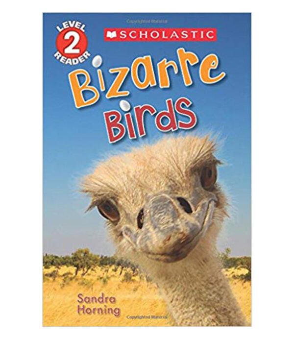 BIZARRE BIRDS -LEVEL 2-