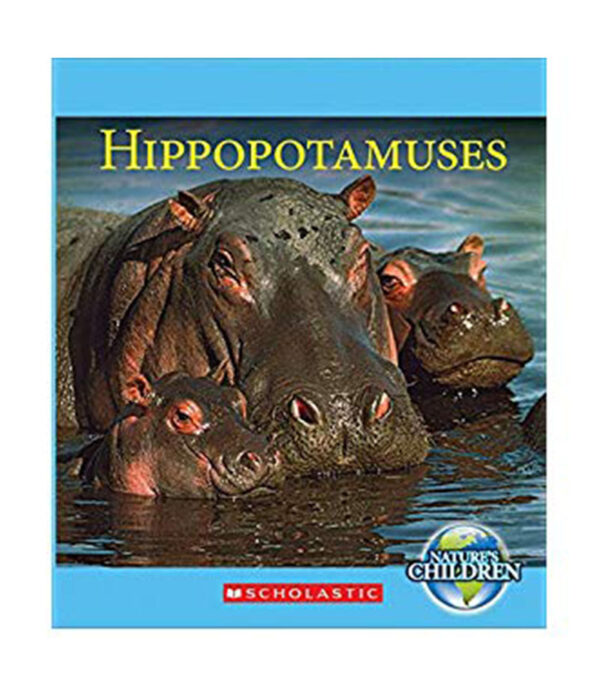 HIPPOPOTAMUSES