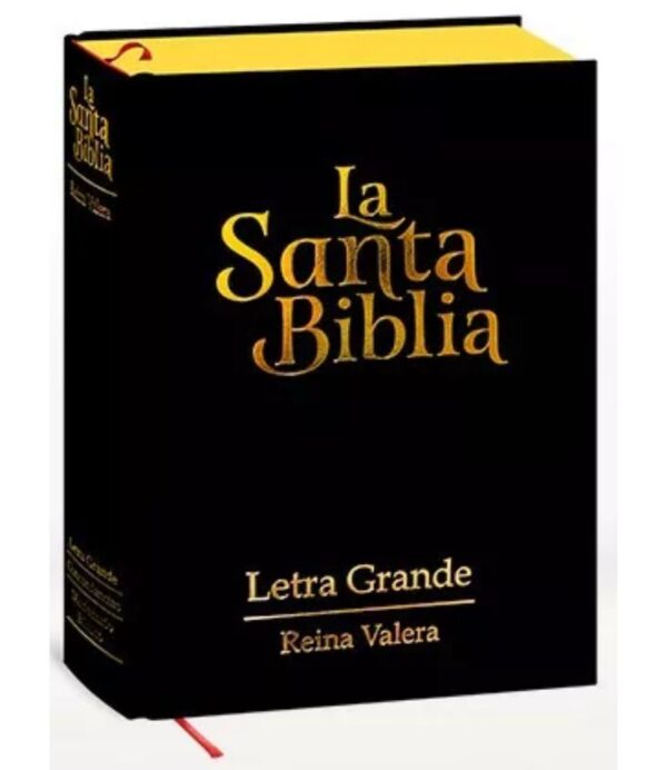 SANTA BIBLIA, LA -LETRA GRANDE-