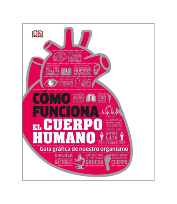 CÓMO FUNCIONA EL CUERPO HUMANO